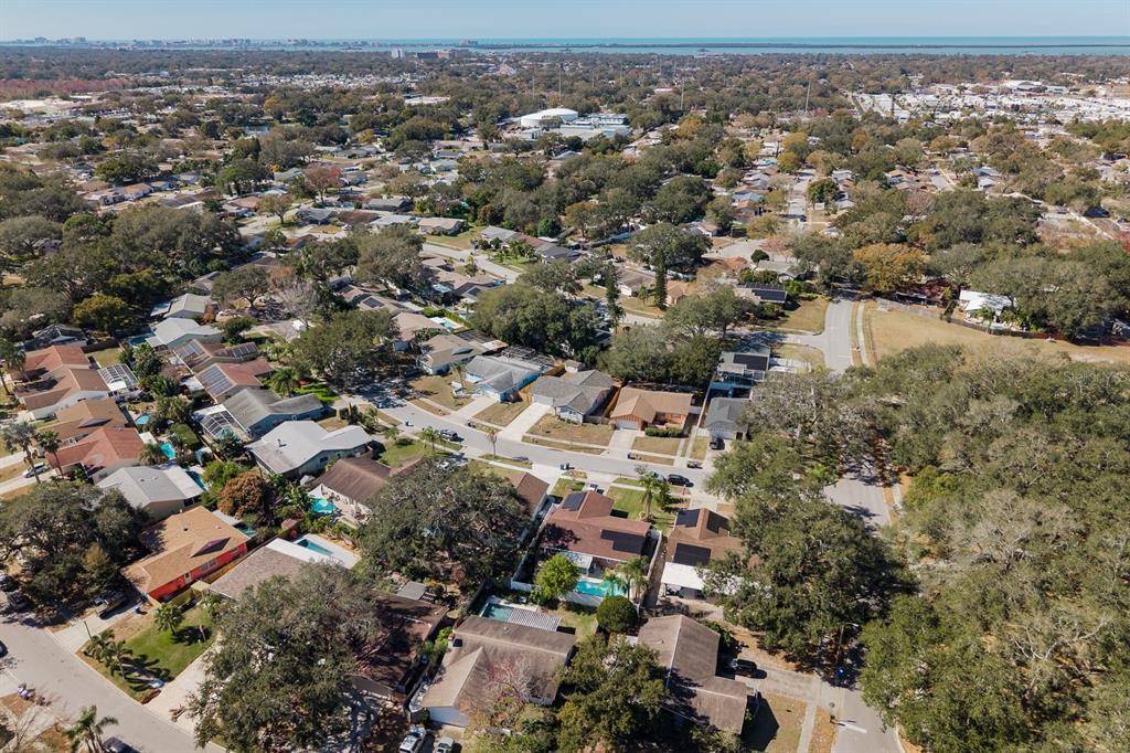 1402 Overlea Drive Dunedin, FL 34698 - Photo 31 of 33