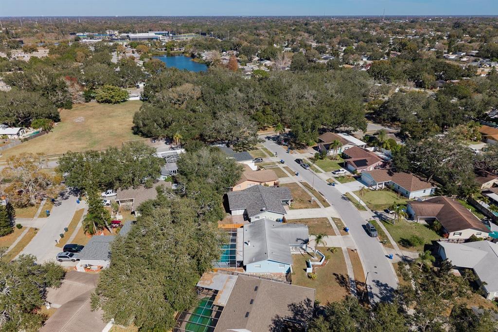 1402 Overlea Drive Dunedin, FL 34698 - Photo 33 of 33