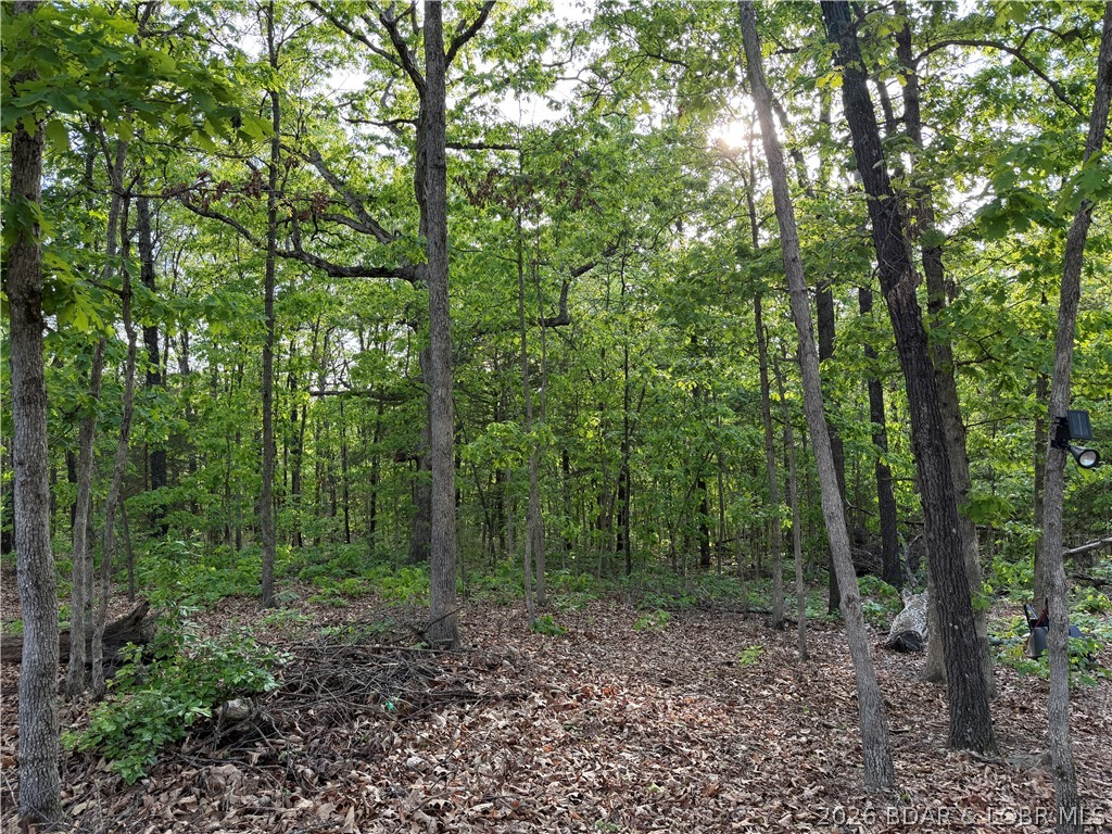 6001 Kolb Hollow Road Climax Springs, MO 65324 - Photo 29 of 47