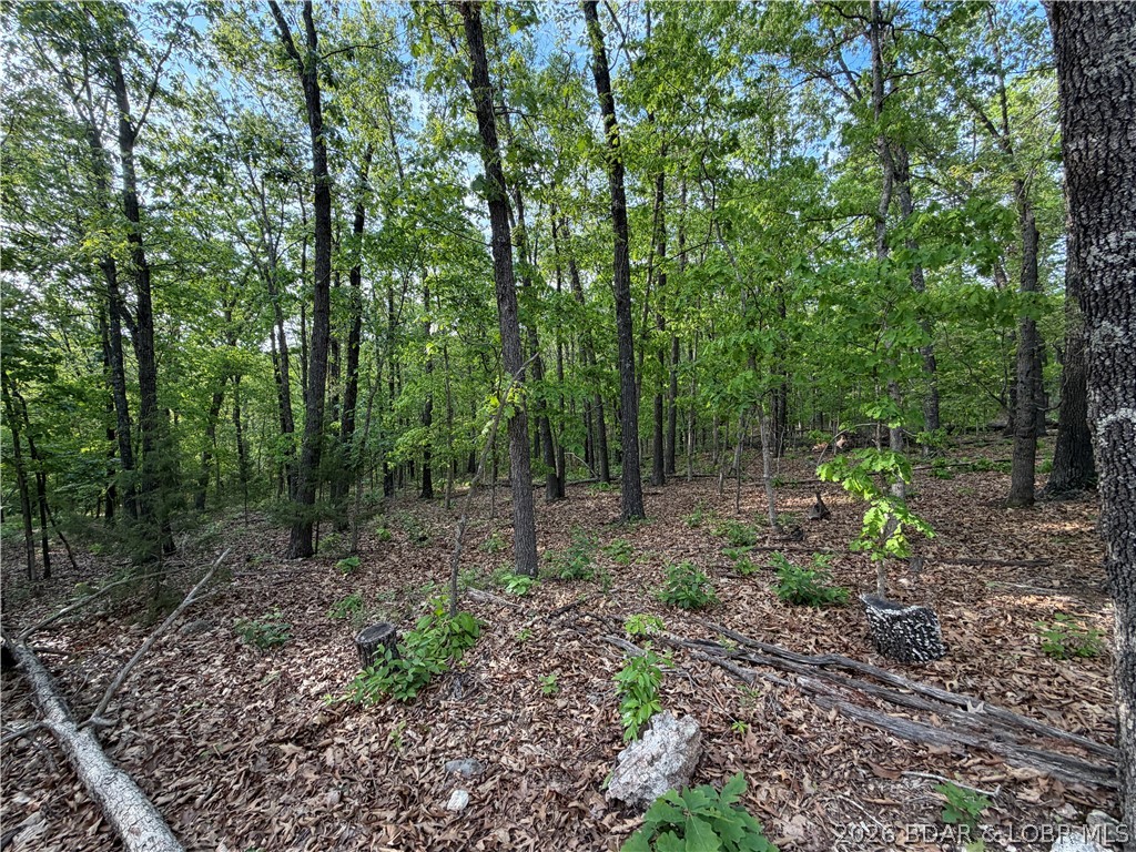 6001 Kolb Hollow Road Climax Springs, MO 65324 - Photo 32 of 47