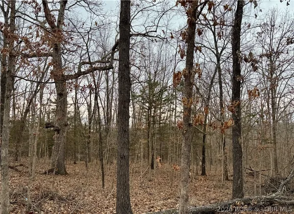 $80,000 | 6001 Kolb Hollow Road, Climax Springs, MO 65324
