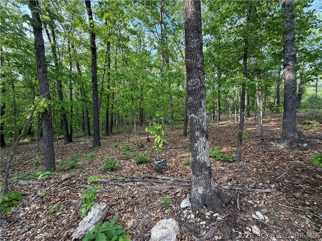 6001 Kolb Hollow Road Climax Springs, MO 65324 - Photo 34 of 47