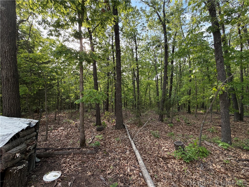6001 Kolb Hollow Road Climax Springs, MO 65324 - Photo 35 of 47