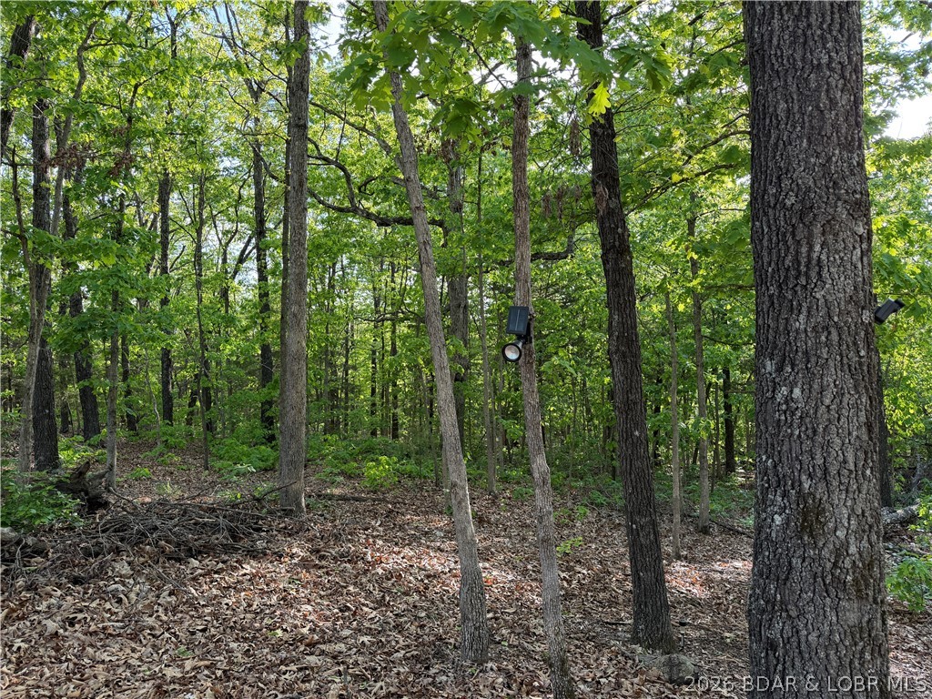 6001 Kolb Hollow Road Climax Springs, MO 65324 - Photo 40 of 47