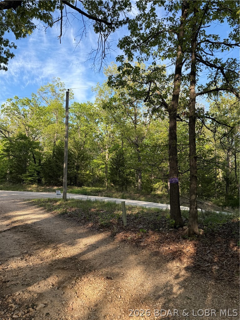 6001 Kolb Hollow Road Climax Springs, MO 65324 - Photo 45 of 47
