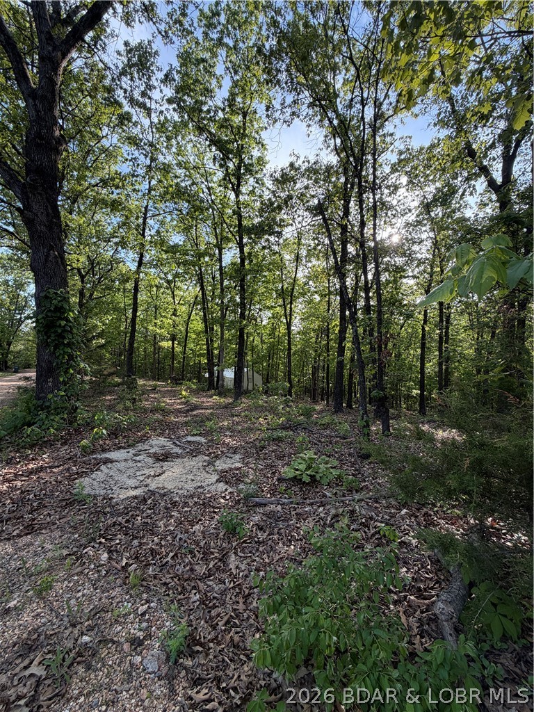 6001 Kolb Hollow Road Climax Springs, MO 65324 - Photo 46 of 47