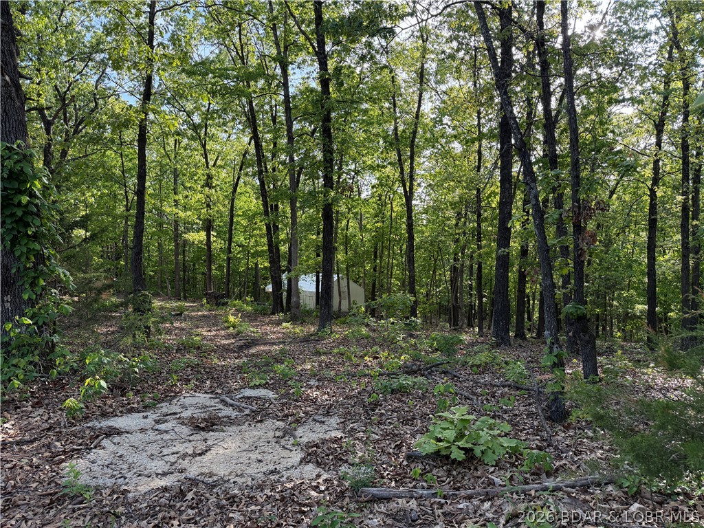 6001 Kolb Hollow Road Climax Springs, MO 65324 - Photo 47 of 47