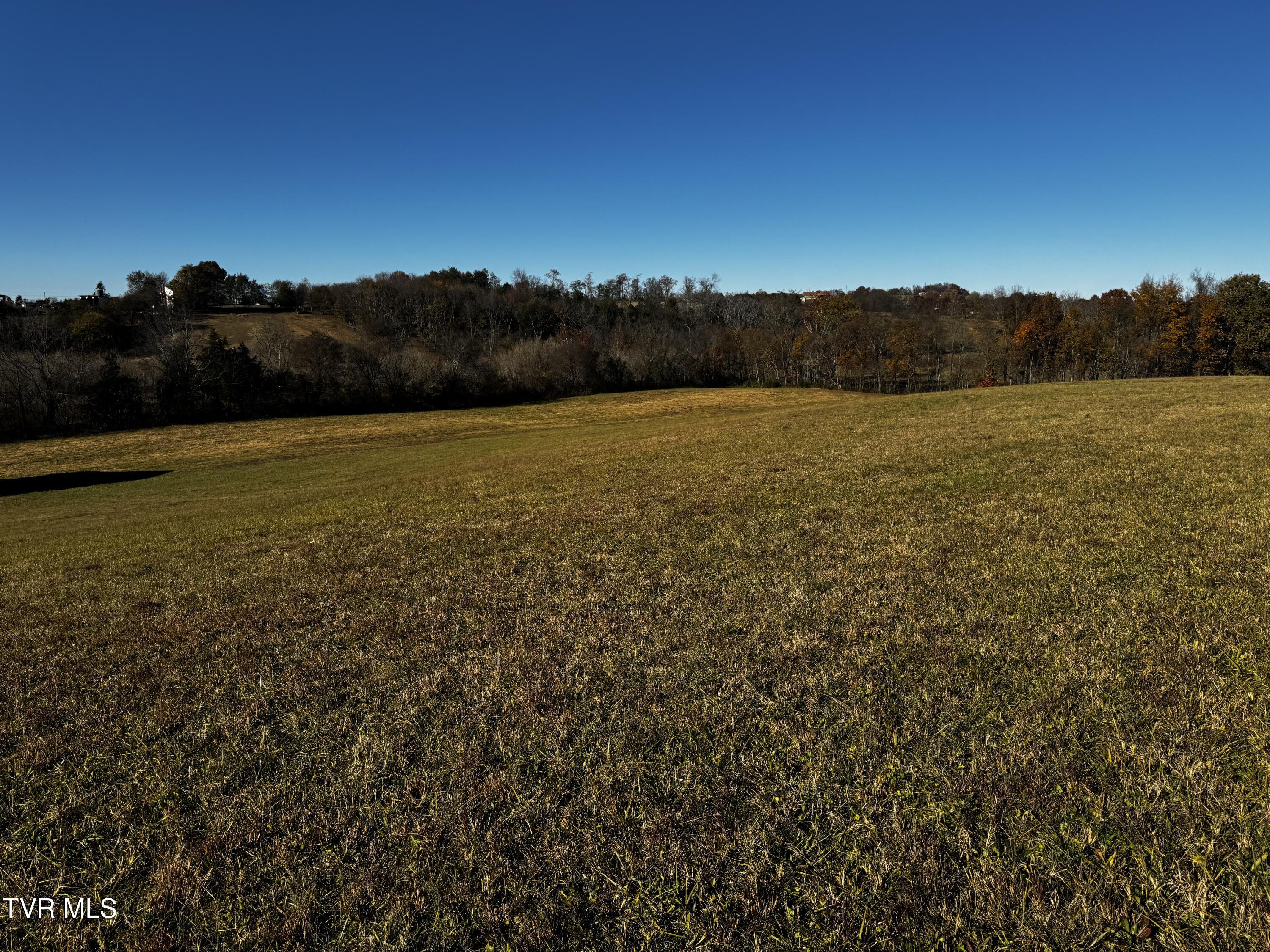 180 Glaze Road Telford, TN 37690 - Photo 5 of 11 04