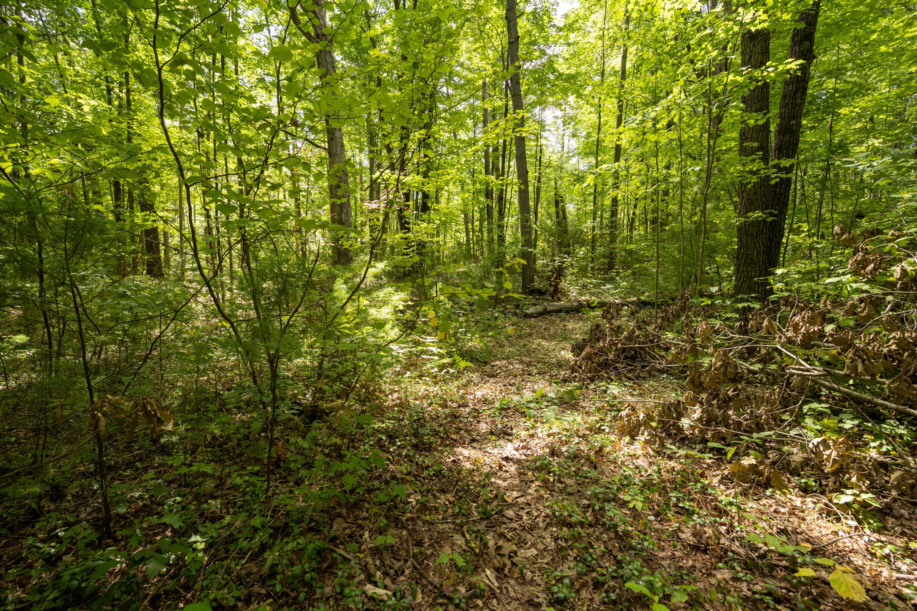 East Grand Boulevard Cheboygan, MI 49721 - Photo 6 of 13 Gallery Image 6