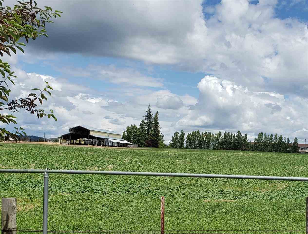 2619 West Johannsen Road Spokane, WA 99208 - Photo 5 of 13 Gallery Image 5