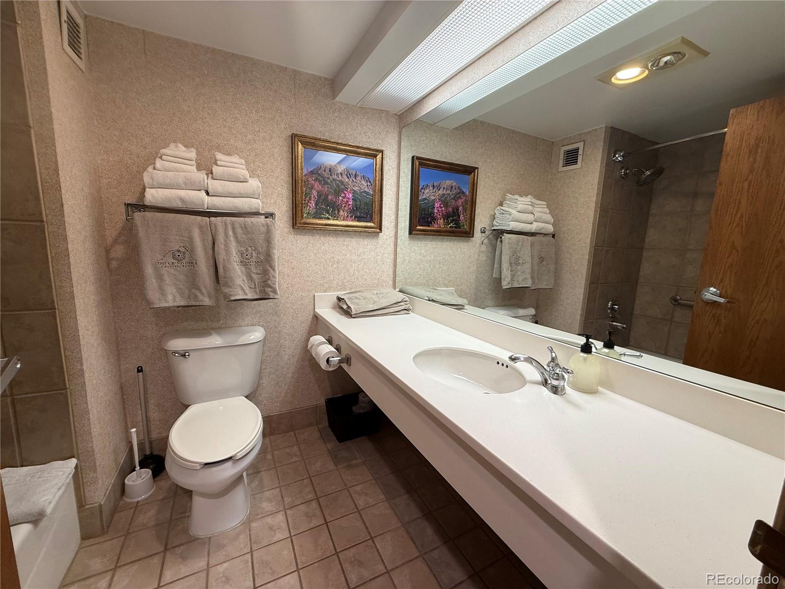 6 Emmons Road, Unit 379/381 Crested Butte, CO 81225 - Photo 11 of 34 a bathroom with a sink a toilet and mirror