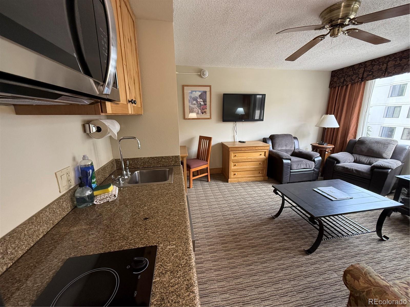 6 Emmons Road, Unit 379/381 Crested Butte, CO 81225 - Photo 16 of 34 a living room with furniture