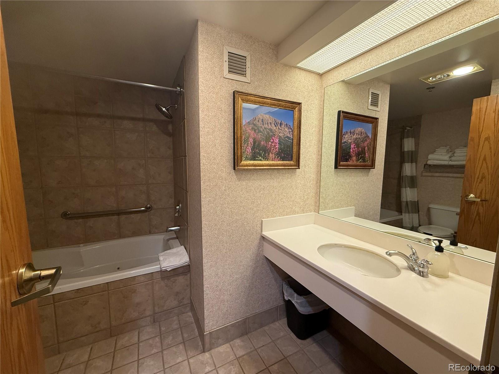 6 Emmons Road, Unit 379/381 Crested Butte, CO 81225 - Photo 23 of 34 a bathroom with a sink and a mirror