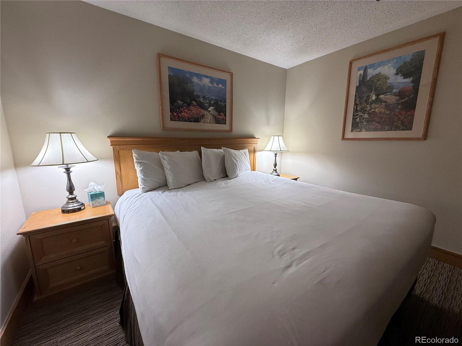 6 Emmons Road, Unit 379/381 Crested Butte, CO 81225 - Photo 9 of 34 a bed room with a bed and a night stand