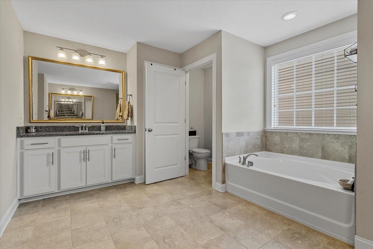 7399 Albemarle Drive Denver, NC 28037 - Photo 30 of 48 a bathroom with a tub a sink and a mirror