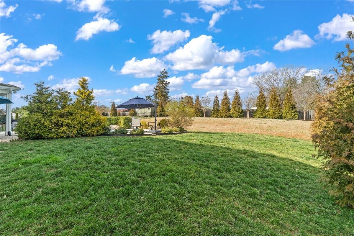 7399 Albemarle Drive Denver, NC 28037 - Photo 45 of 48 a view of a big yard