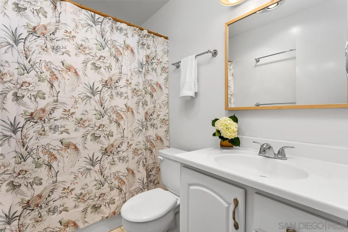 709 Sunflower Street Encinitas, CA 92024 - Photo 24 of 31 a bathroom with a sink toilet and mirror