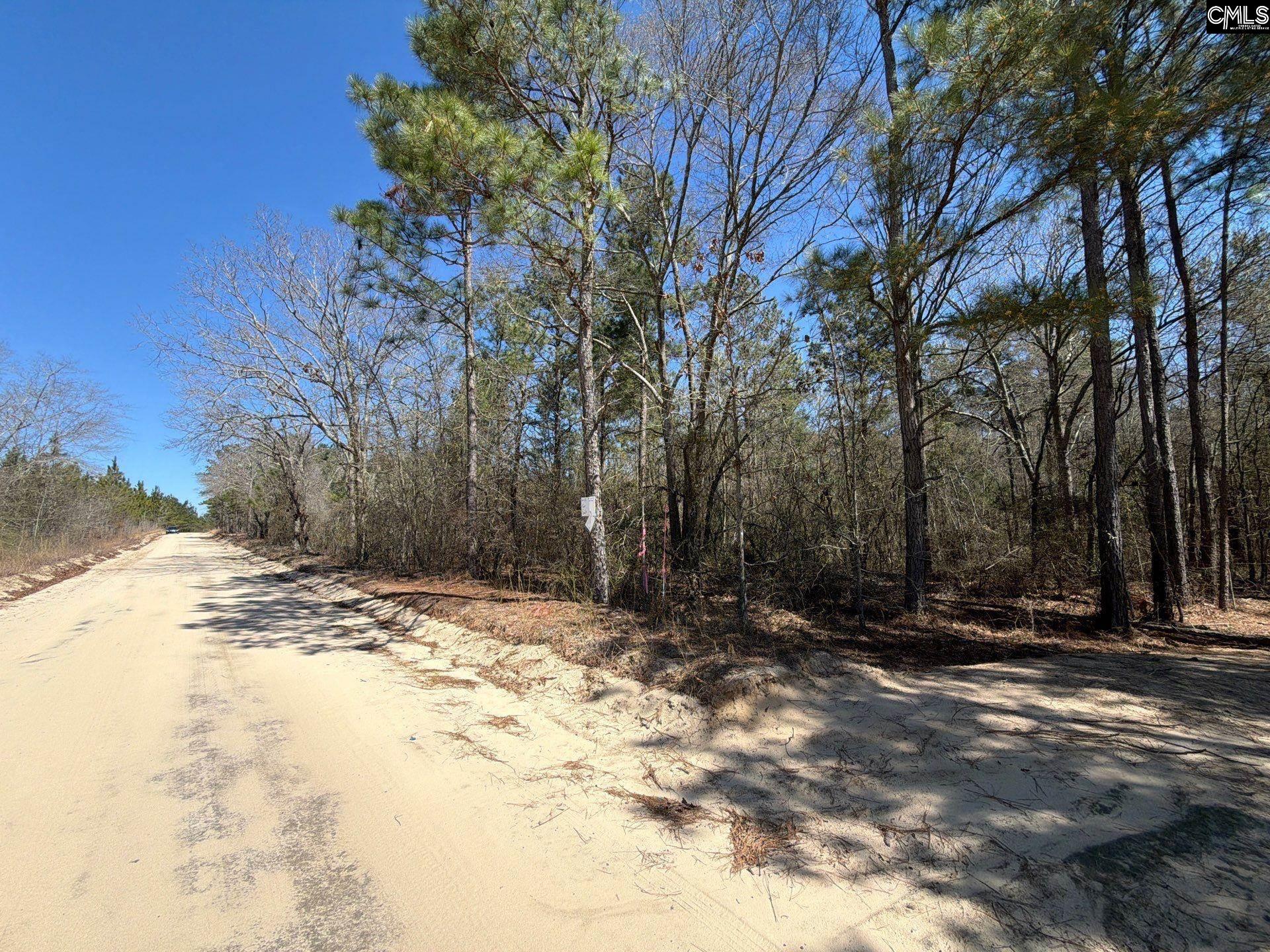 13 Boise Cascade Road, Unit BHL 13 Bethune, SC 29009 - Photo 25 of 31