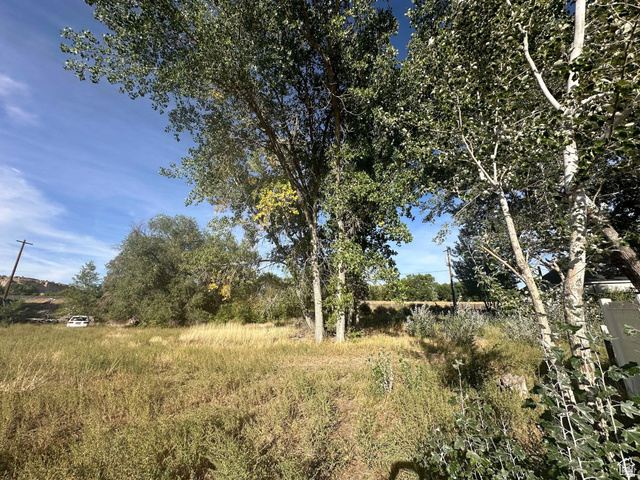2143 North Carbonville Road, Unit 1 Helper, UT 84526 - Photo 2 of 7 View of local wilderness