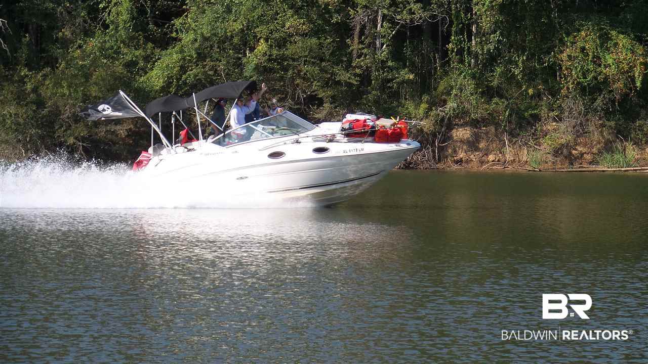 21 Jimmie Phillips Road Sawyerville, AL 36776 - Photo 6 of 41