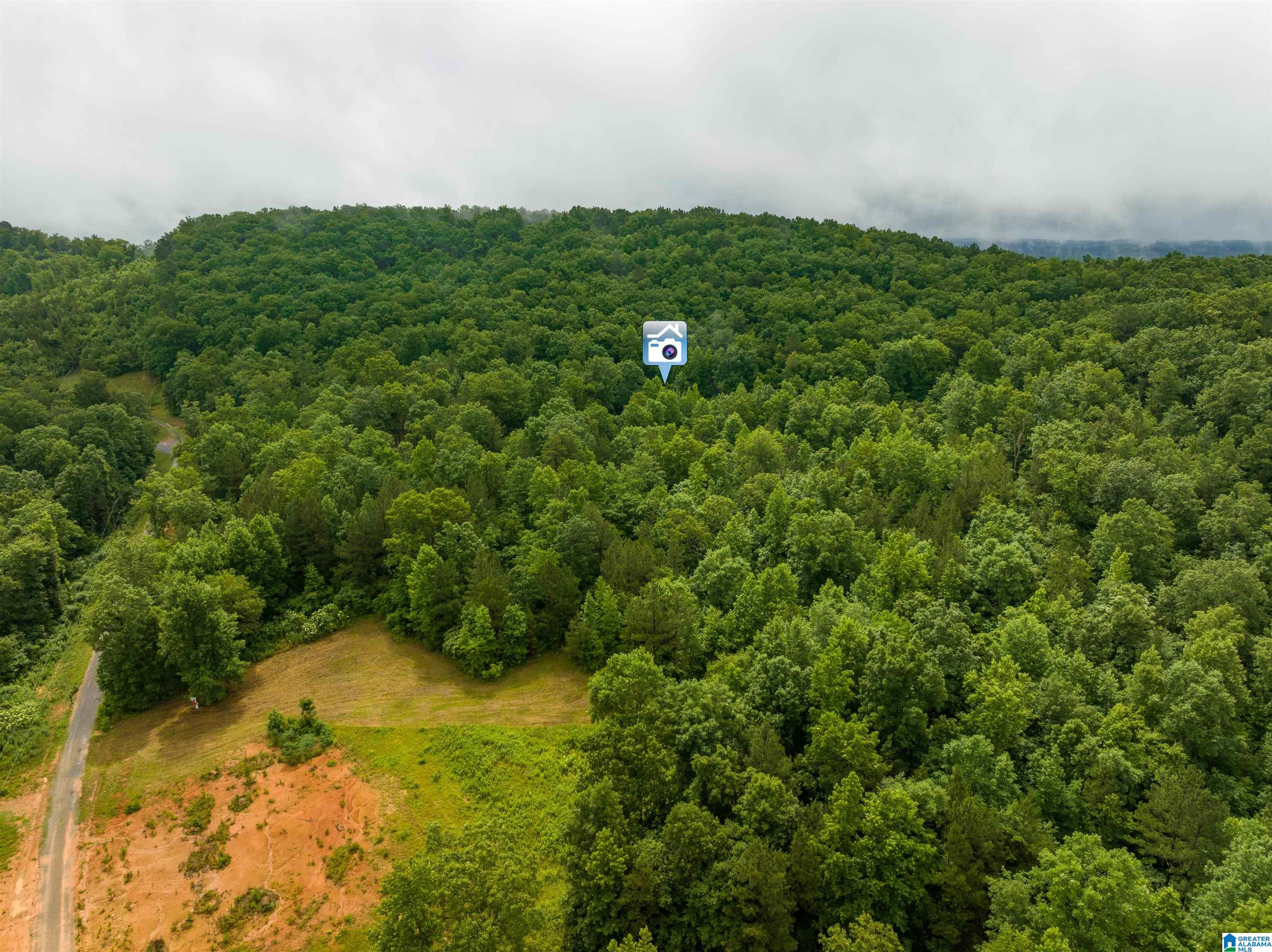 0 Crawford Cove Road Springville, AL 35146 - Photo 3 of 11