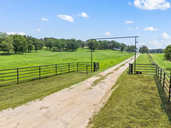 a view of a garden with an outdoor space