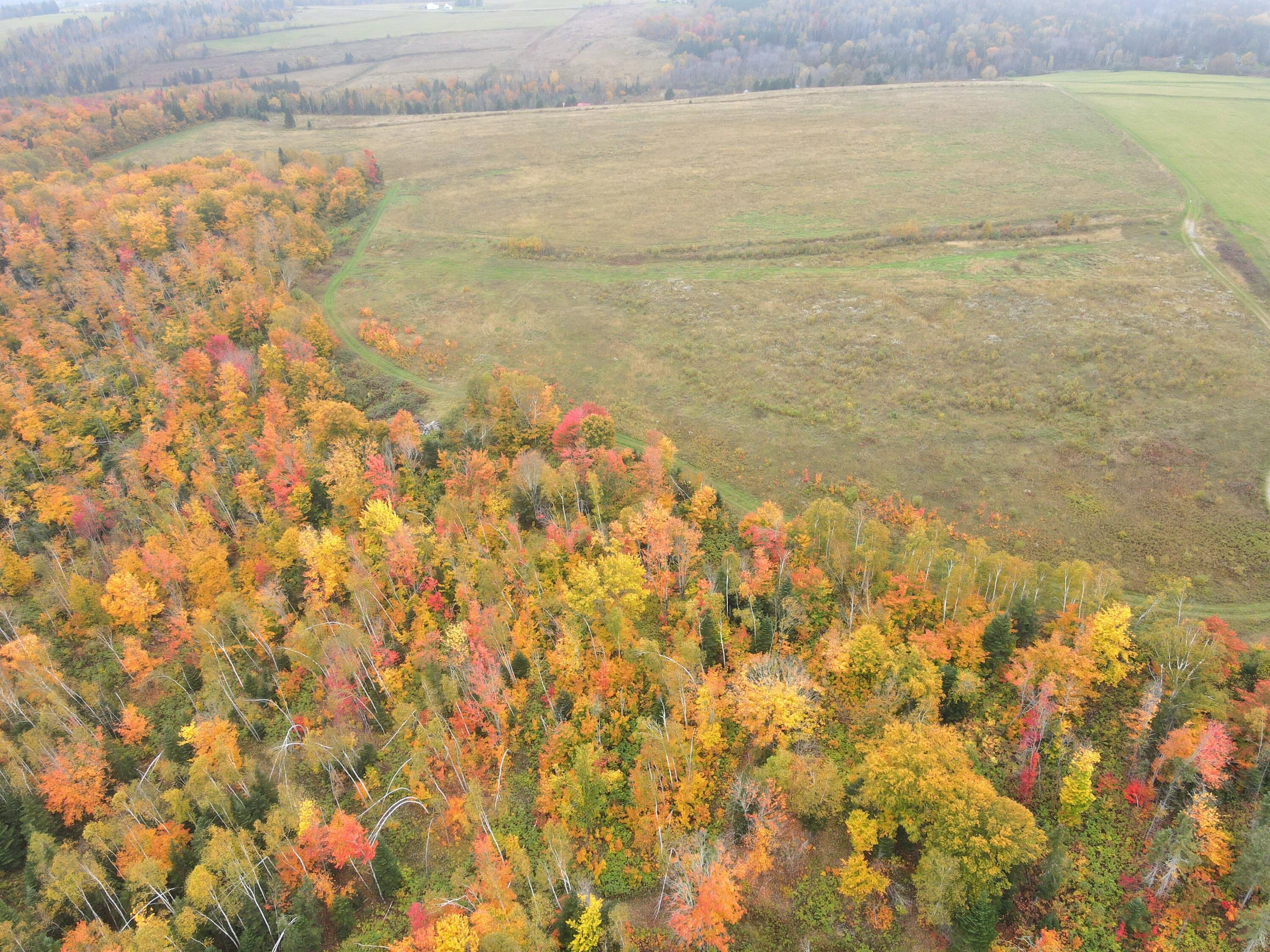 Lot 38 Coulombe Road Fort Kent, ME 04743 - Photo 2 of 30 dji_fly_20231004_122706_123_169644272670