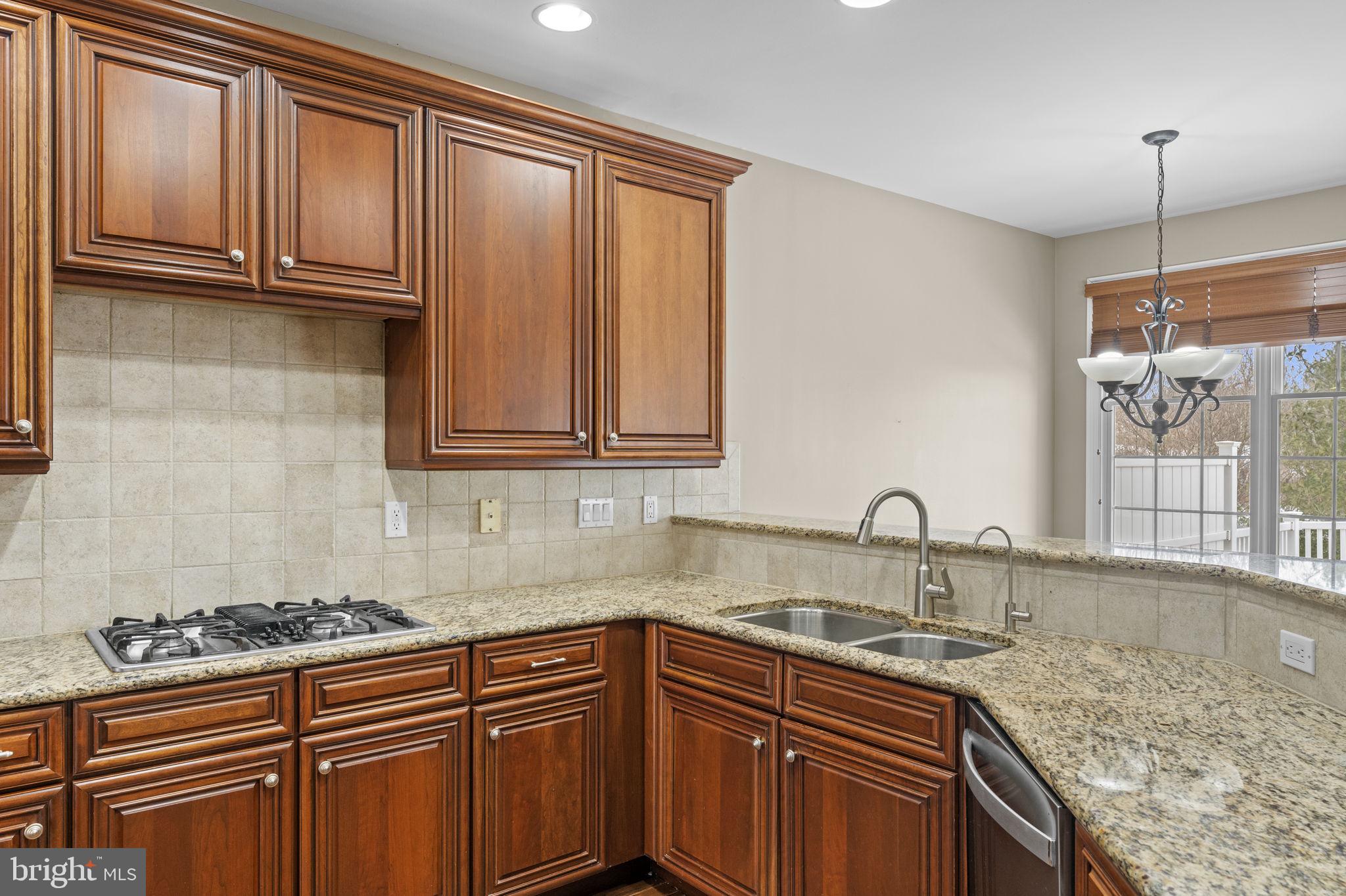 14 Sloan Road West Chester, PA 19382 - Photo 14 of 78 Double Sink and gas stove