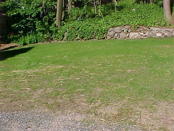 38 Mishawum Road Woburn, MA 01801 - Photo 20 of 21 Gallery Image 20