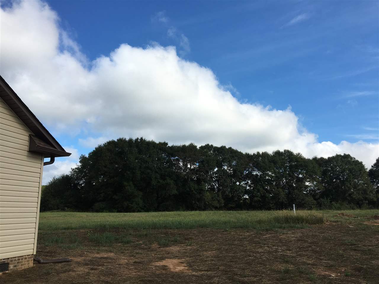 1075 Reynolds Road Chesnee, SC 29323 - Photo 3 of 24