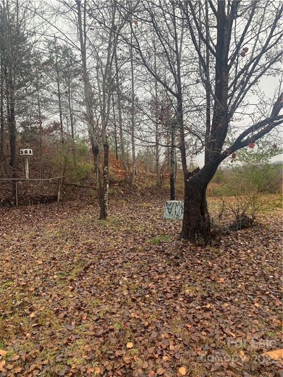 1390 Cove Road Rutherfordton, NC 28139 - Photo 3 of 15 a backyard of a house with lots of green space