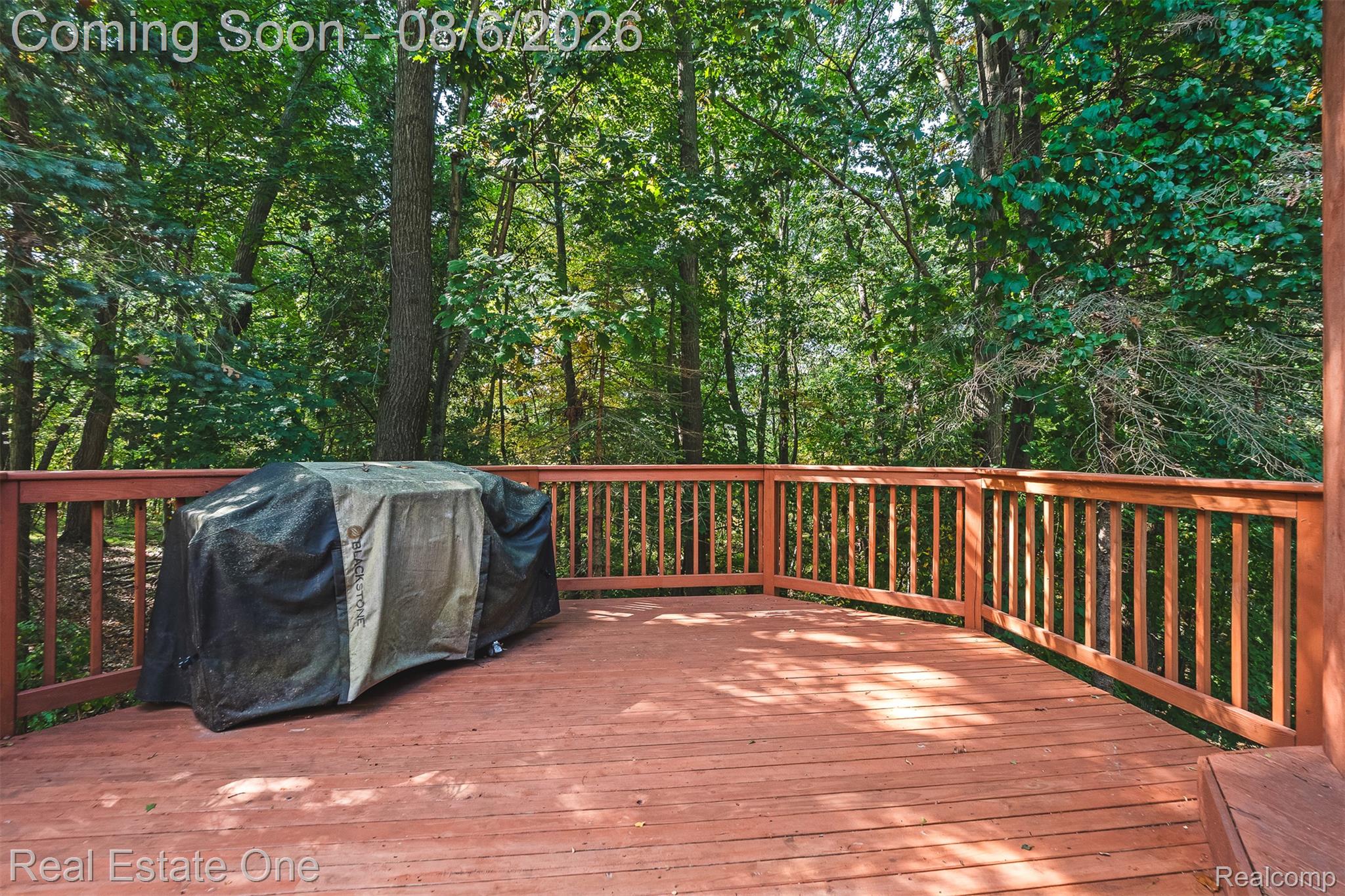7798 Fieldstone Ridge Clarkston, MI 48348 - Photo 14 of 19 08-fieldstone-15.jpg