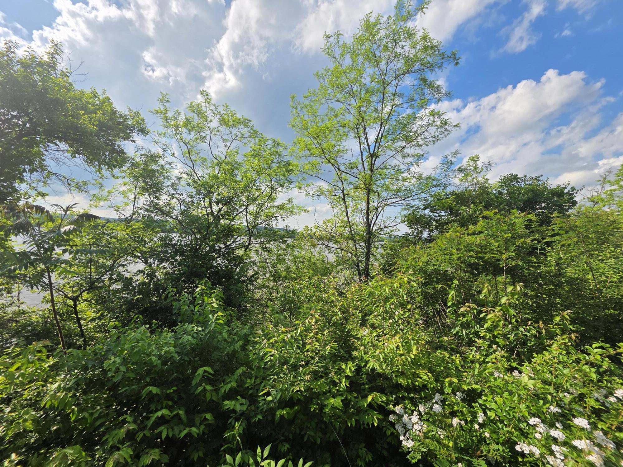 0 Lower River Road Burlington, KY 41005 - Photo 8 of 10 Gallery Image 8