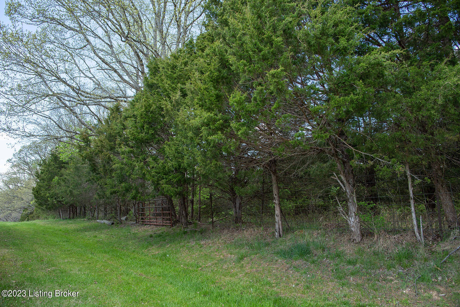 1929 Mt Zion Road Frankfort, KY 40601 - Photo 23 of 55 Exterior Small (22 of 54)