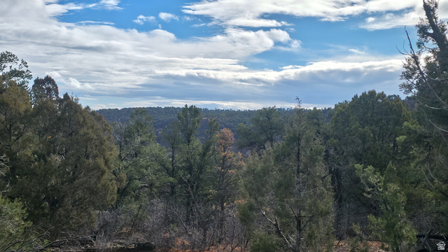 95 Wray Mesa Road, Unit 10 La Sal, UT 84530 - Photo 13 of 14 View of mountain backdrop with a forest