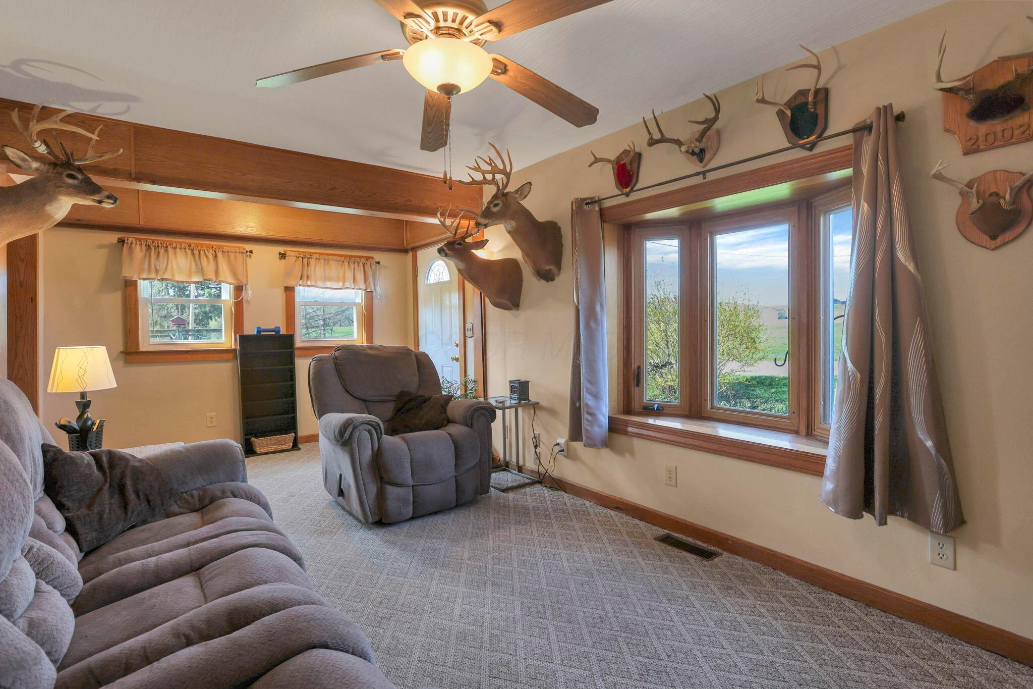 4120 Drinkle Road Southwest Amanda, OH 43102 - Photo 14 of 53 Living Room