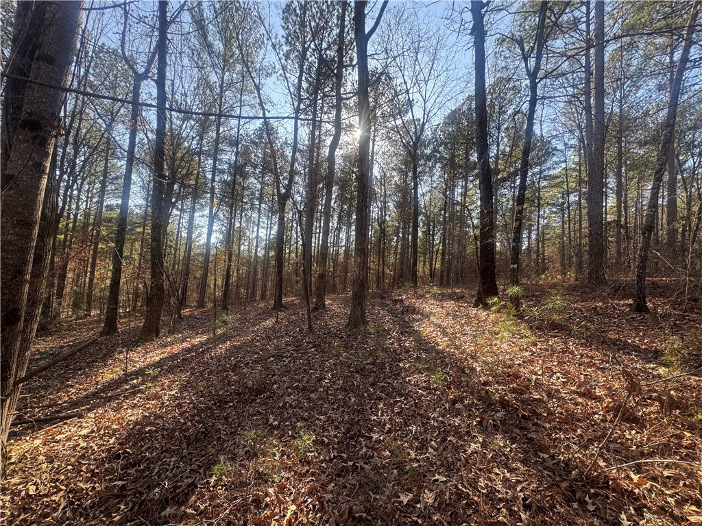 704 Timberbrook Trail Salem, SC 29676 - Photo 4 of 9