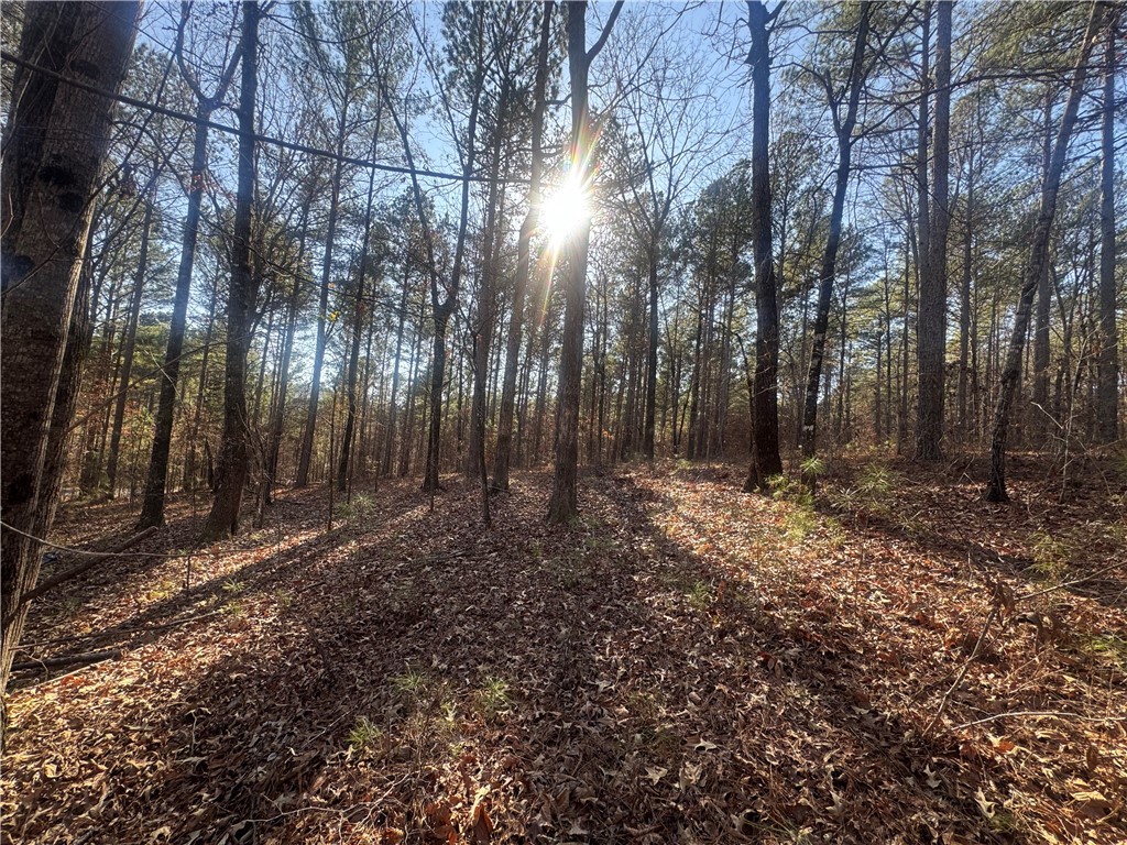 704 Timberbrook Trail Salem, SC 29676 - Photo 5 of 9