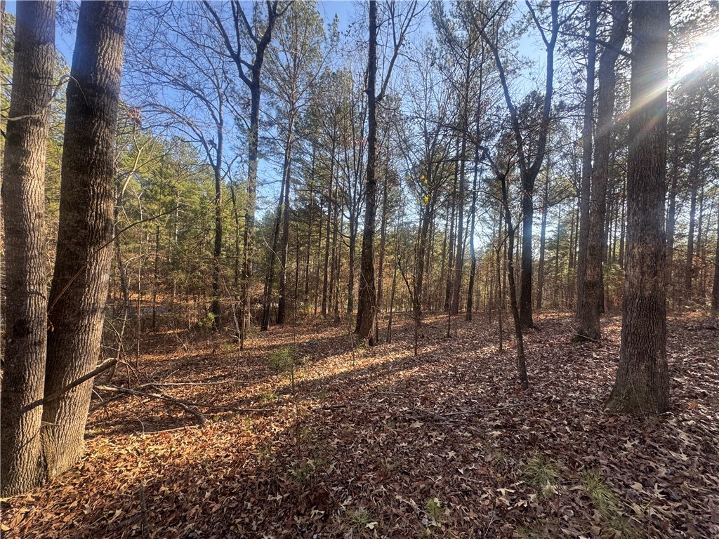 704 Timberbrook Trail Salem, SC 29676 - Photo 6 of 9