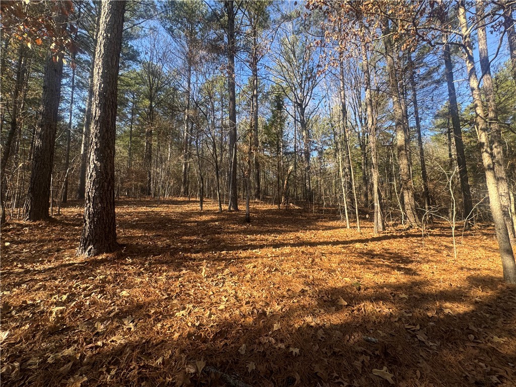 704 Timberbrook Trail Salem, SC 29676 - Photo 8 of 9