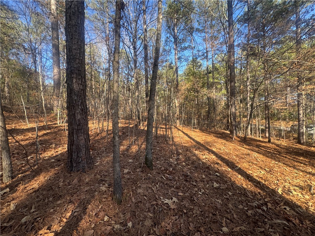 704 Timberbrook Trail Salem, SC 29676 - Photo 9 of 9