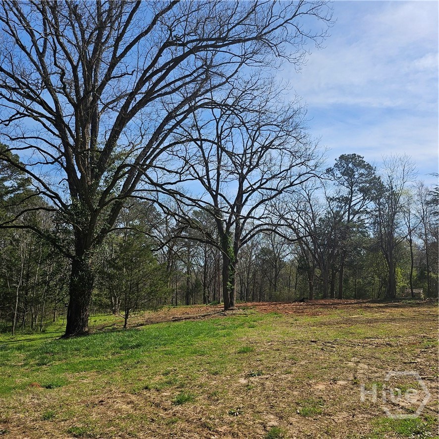 6291 Colham Ferry Road Watkinsville, GA 30677 - Photo 4 of 9 Gallery Image 4