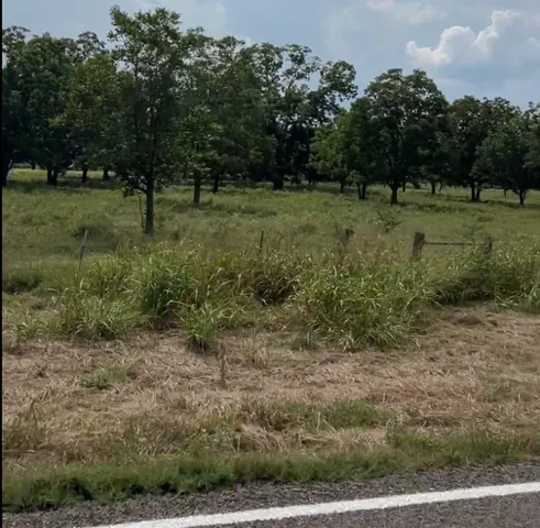 a view of outdoor space with trees all around