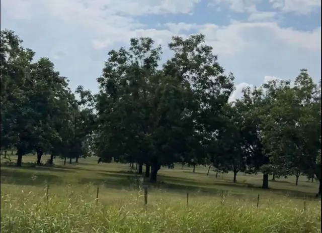 a view of lake with trees