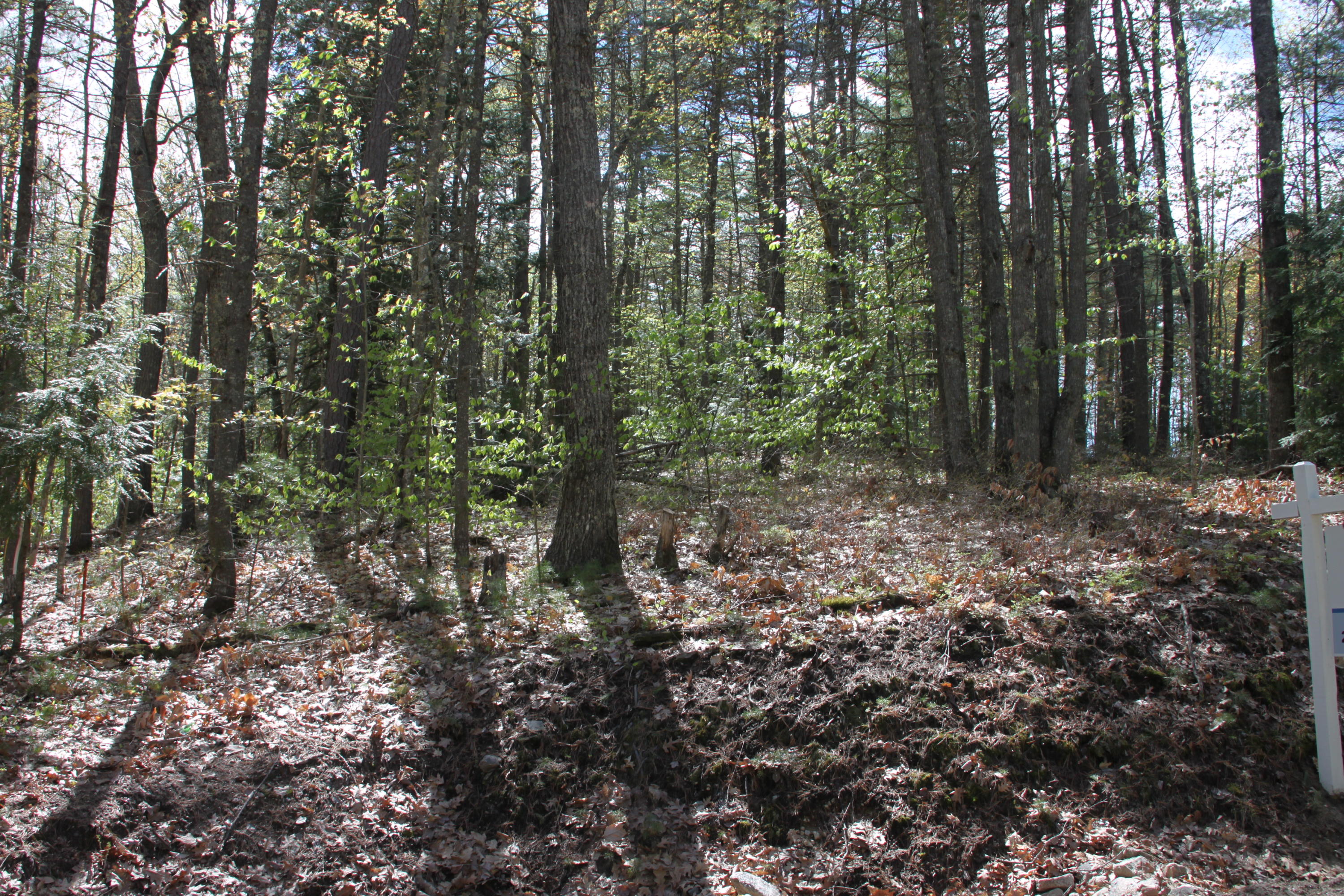 0 Northwest River Road Sebago, ME 04029 - Photo 4 of 4 Lot view