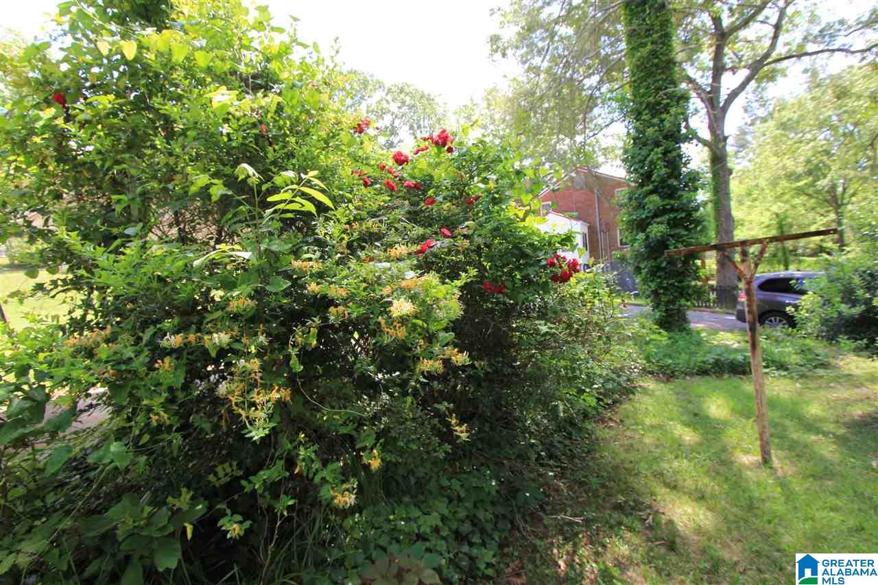 530 Blue Ridge Drive Anniston, AL 36207 - Photo 39 of 39