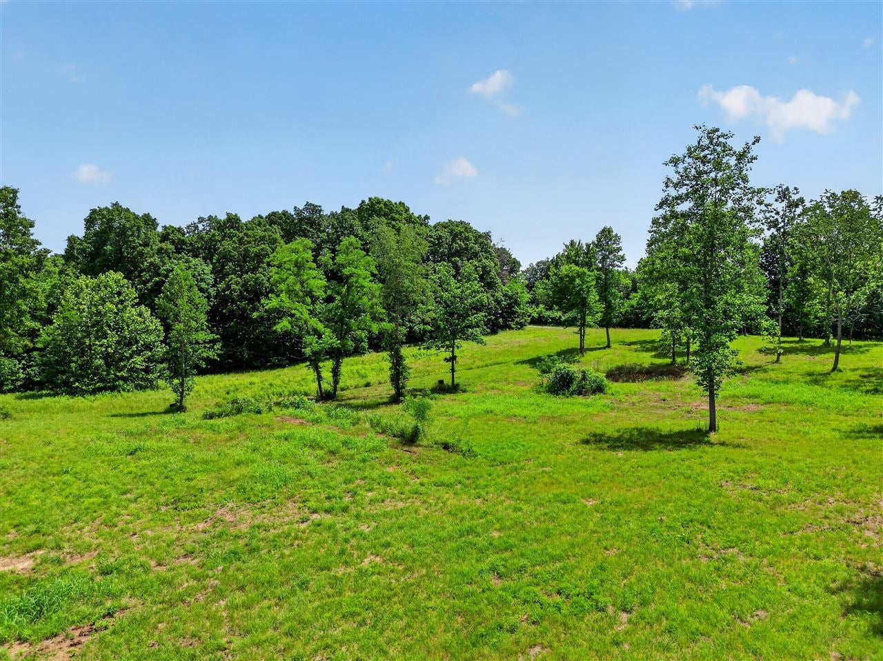 0 Dennis Road Russellville, KY 42276 - Photo 4 of 14 Gallery Image 4