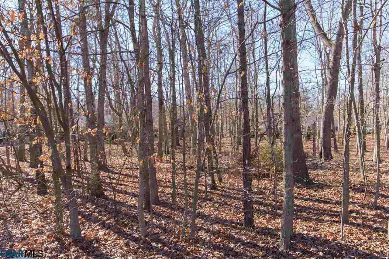 34 Hardwood Road Palmyra, VA 22963 - Photo 2 of 10 Location is Less Than 2 Blocks From Lake Monticello's Beach 2 - Bring Your Canoe!!!