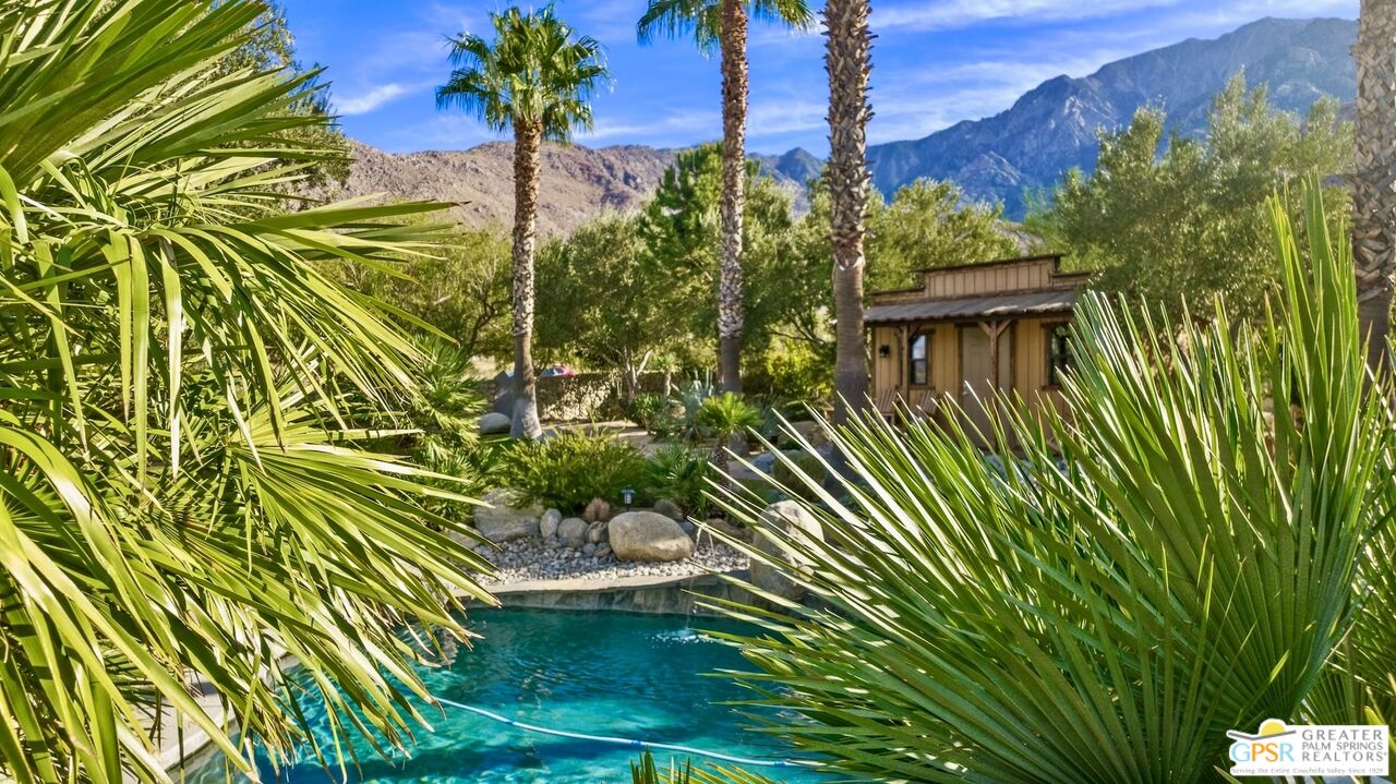 15911 Falls Creek Road Whitewater, CA 92282 - Photo 40 of 61 a view of a garden with plants