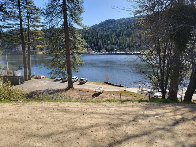 a view of backyard with tree